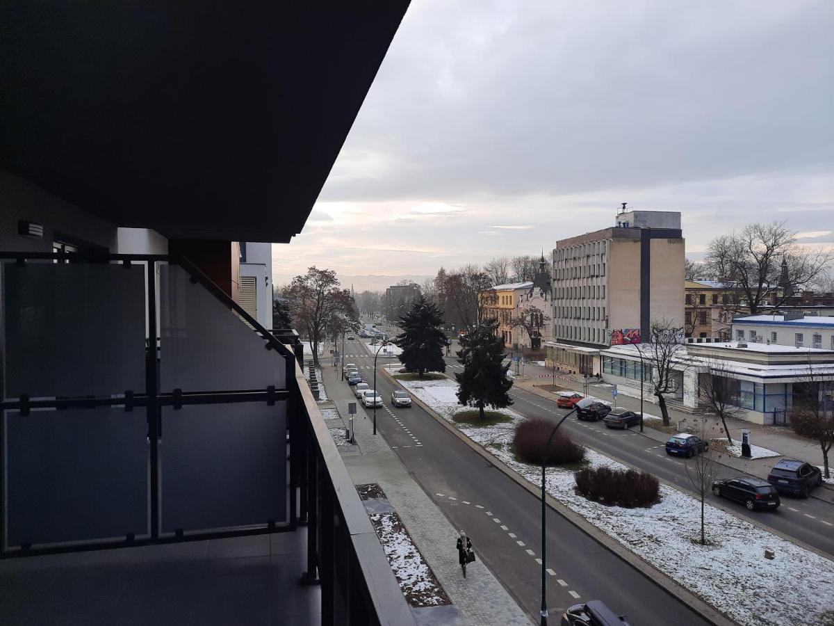 Apartament Przy Plantach Новы Сонч Экстерьер фото